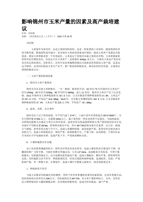 影响锦州市玉米产量的因素及高产栽培建议