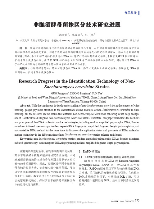 非酿酒酵母菌株区分技术研究进展