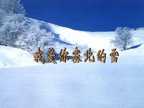 《雪》参考11