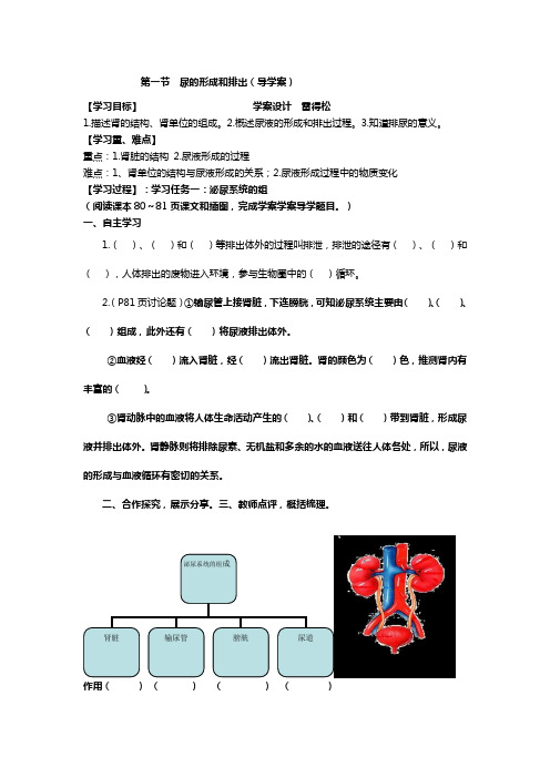 第一节  尿的形成和排出(导学案