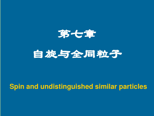 量子力学 第七章 自旋与全同粒子