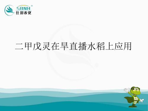 二甲戊灵在旱直播水稻上应用 ppt课件