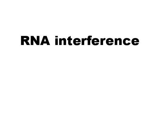 RNA interference