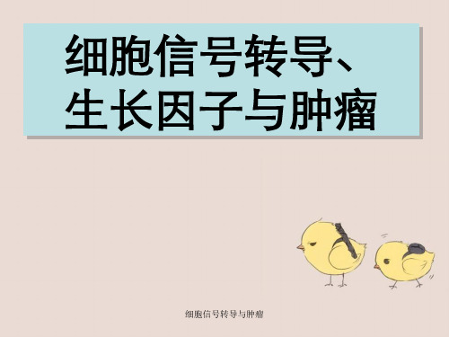 细胞信号转导与肿瘤