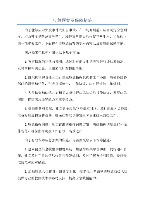 应急预案及保障措施