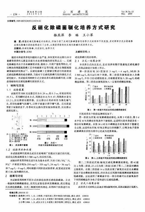 反硝化除磷菌驯化培养方式研究