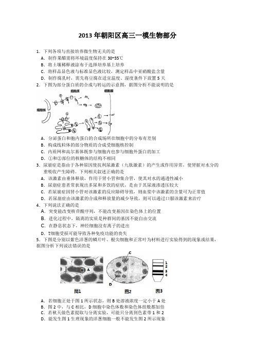 北京市朝阳区2013届高三第一次综合练习理综生物含答案(理综生物)