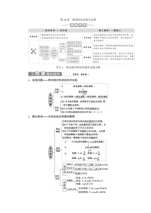 高中生物 基因的自由组合定律