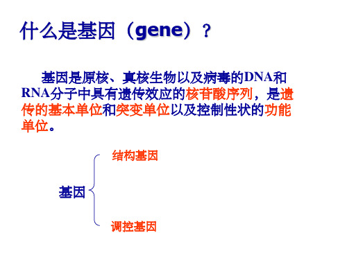 基因的概念及发展