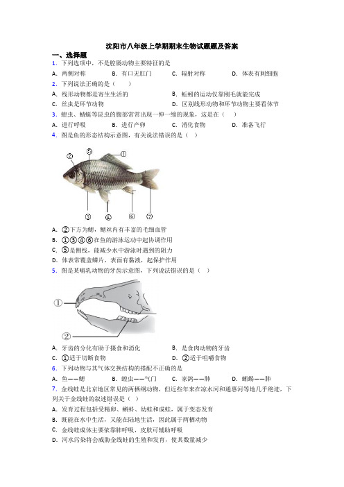 沈阳市八年级上学期期末生物试题题及答案