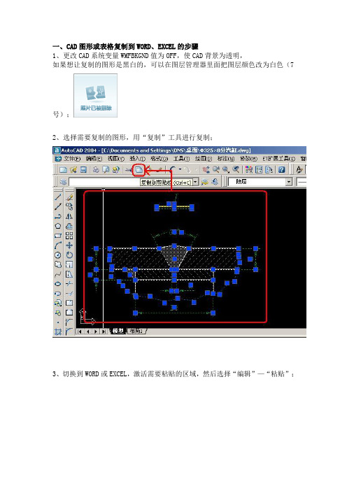 CAD图形或表格复制到WORD、EXCEL的步骤