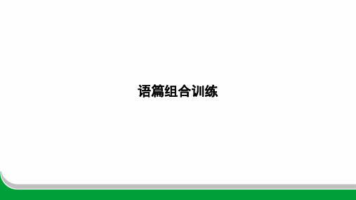 2024年人教版中考英语总复习语篇组合训练 (3)