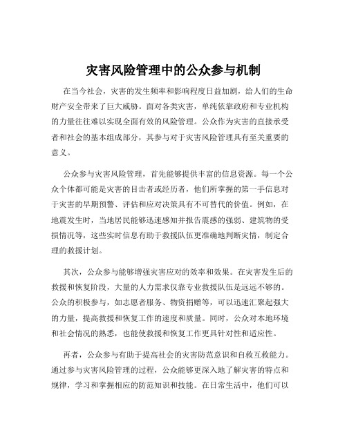 灾害风险管理中的公众参与机制