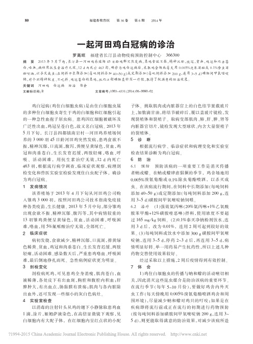 一起河田鸡白冠病的诊治