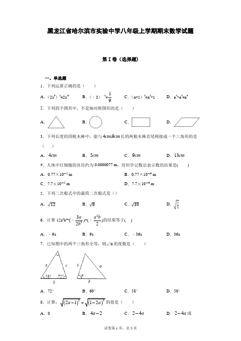 2019年黑龙江省哈尔滨市实验中学八年级上学期期末数学试题(含答案解析)