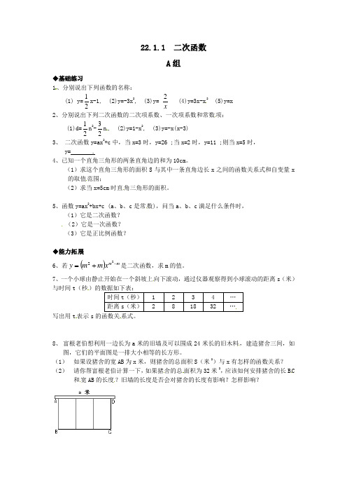 人教版九年级上册数学 22.1.1  二次函数 同步练习