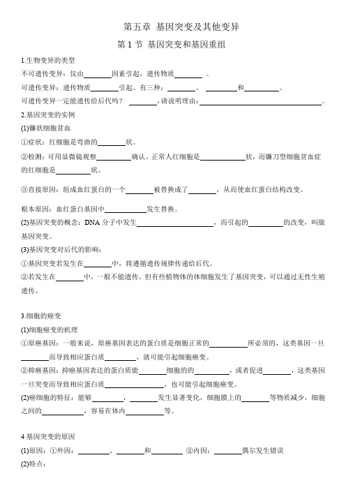 第5章 基因突变及其他变异-高一生物单元必背知识清单(默写版)