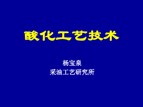 酸化工艺技术大庆采油九厂