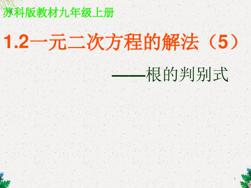 苏科2011课标版初中数学九年级上册第一章1.2一元二次方程的解法课件