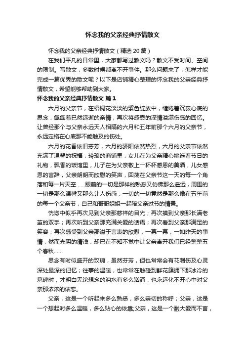 怀念我的父亲经典抒情散文