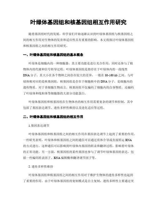 叶绿体基因组和核基因组相互作用研究