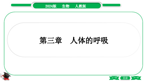 2024年人教版中考生物总复习第一部分考点梳理七年级下册第四单元生物圈中的人第三章人体的呼吸