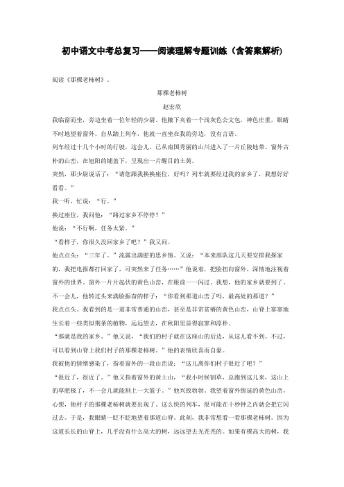 初中语文中考总复习阅读理解专题训练《那棵老柿树》(含答案解析)