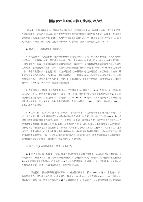 柑橘食叶害虫的生物习性及防治方法