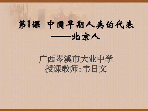 人教版(部编)七年级上册历史《第1课中国早期人类的代表——北京人》课件公开课(16)