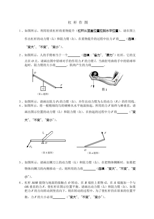 杠杆作图及拔高难题