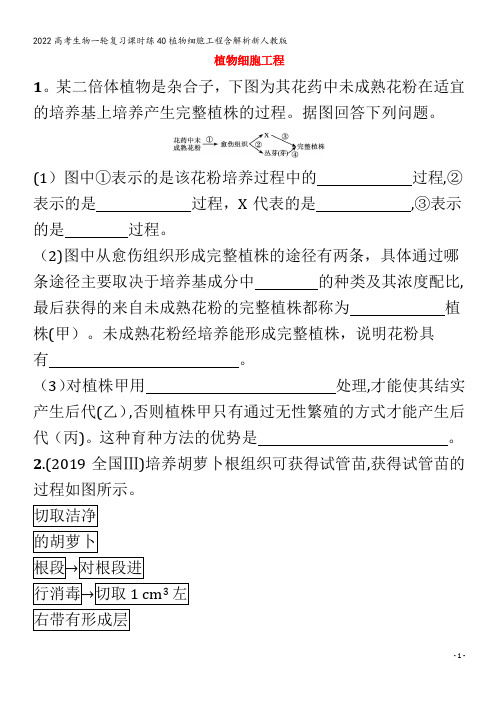 2022生物课时练40植物细胞工程含解析