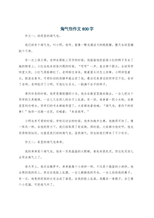 淘气包作文600字