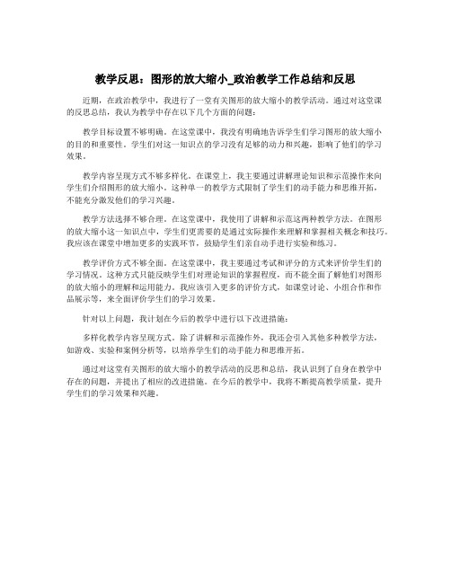 教学反思：图形的放大缩小_政治教学工作总结和反思