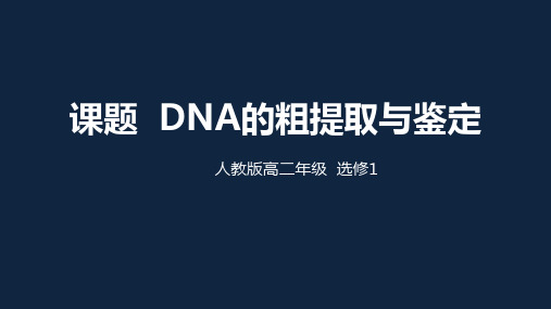 选修一5.1DNA的粗提取和鉴定人教版高二生物下课件(共29张PPT)