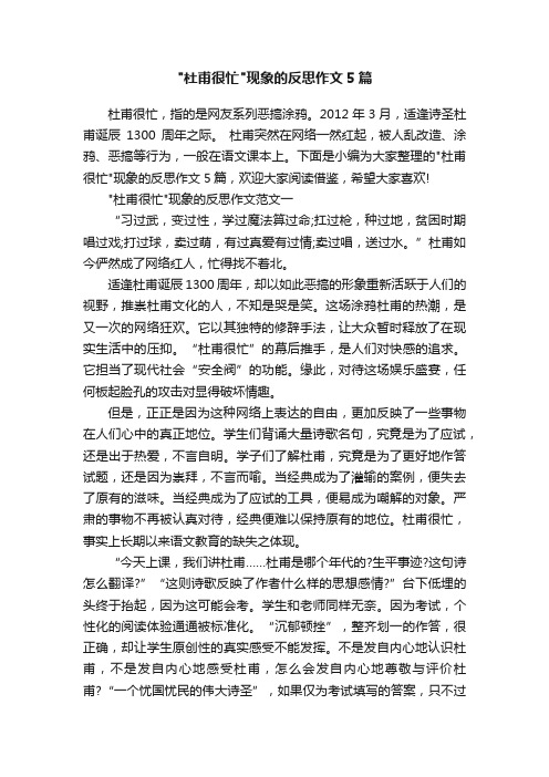 杜甫很忙现象的反思作文5篇