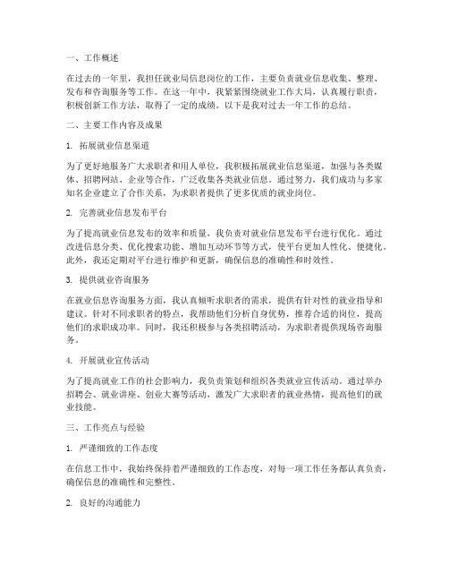 就业局信息个人工作总结