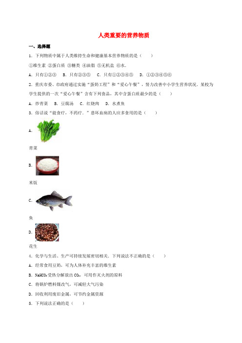 2017年中考化学专题练习 人类重要的营养物质(含解析)