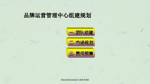 营销运营团队组建及年度费用预算ppt课件