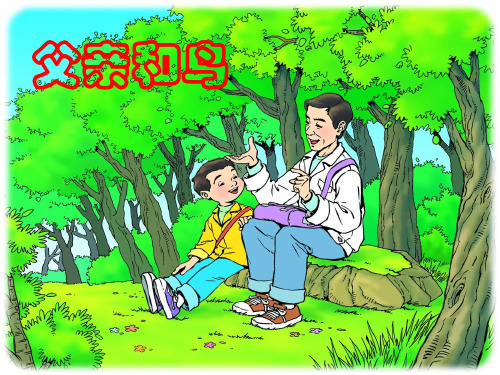 小学二年级语文课件 第29课父亲和鸟(1)