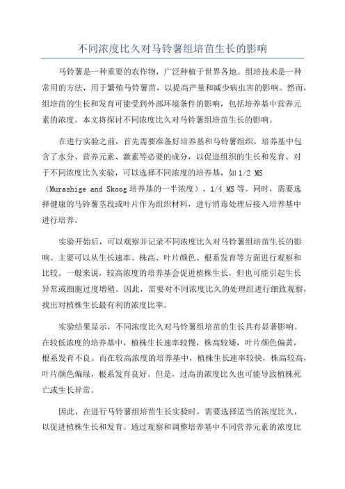 不同浓度比久对马铃薯组培苗生长的影响