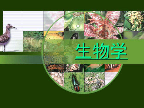 人教版七年级生物 致同学们课件(共20张PPT)