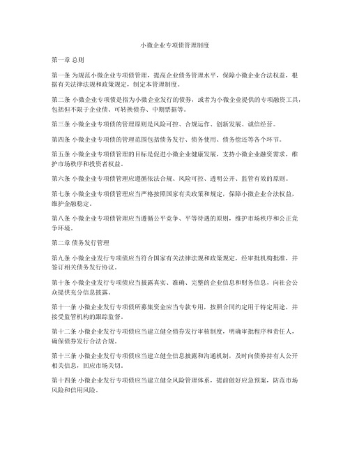 小微企业专项债管理制度