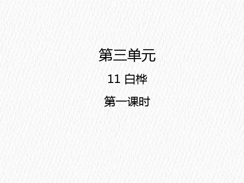 部编版小学语文四年级下册11  白桦(教学课件)