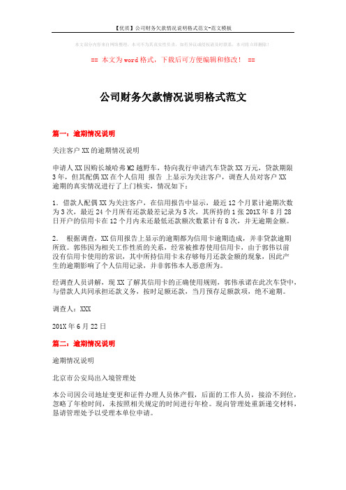 【优质】公司财务欠款情况说明格式范文-范文模板 (2页)