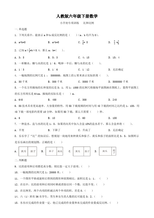 人教版六年级下册数学   小升初专项训练   比和比例