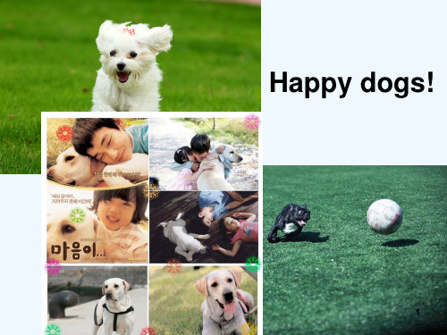 A story The dog 小狗的故事 PPT