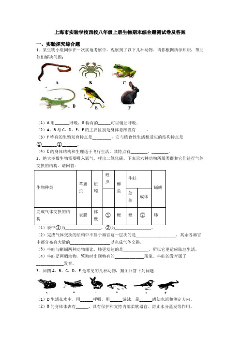 上海市实验学校西校八年级上册生物期末综合题测试卷及答案