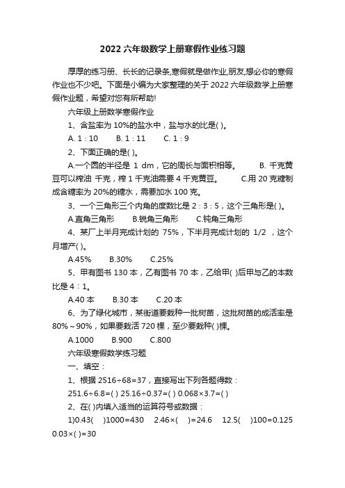 2022六年级数学上册寒假作业练习题