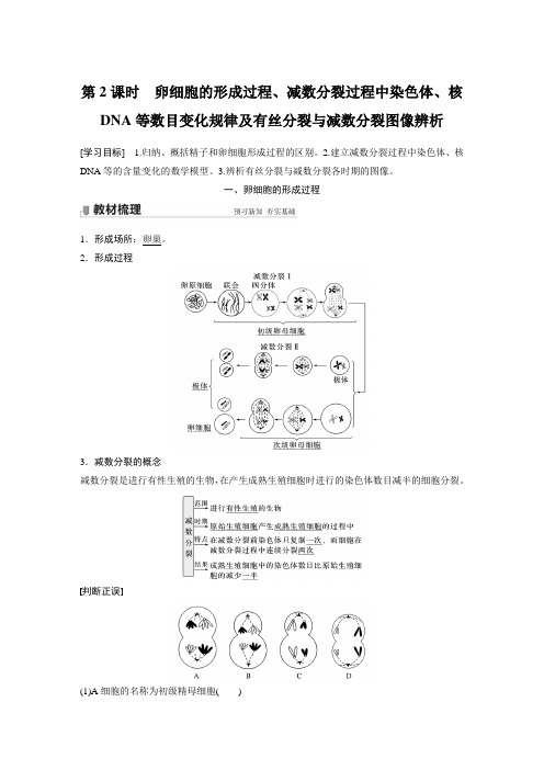 高中生物-卵细胞的形成过程、减数分裂过程中染色体、核DNA等数目变化规律及有丝分裂与减数分裂图像辨析