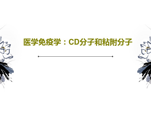 医学免疫学：CD分子和粘附分子共29页